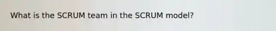 What is the SCRUM team in the SCRUM model?