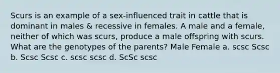 Scurs is an example of a sex-influenced trait in cattle that is dominant in males & recessive in females. A male and a female, neither of which was scurs, produce a male offspring with scurs. What are the genotypes of the parents? Male Female a. scsc Scsc b. Scsc Scsc c. scsc scsc d. ScSc scsc