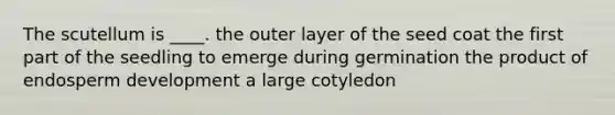 The scutellum is ____. the outer layer of the seed coat the first part of the seedling to emerge during germination the product of endosperm development a large cotyledon