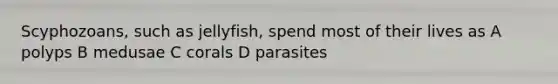 Scyphozoans, such as jellyfish, spend most of their lives as A polyps B medusae C corals D parasites