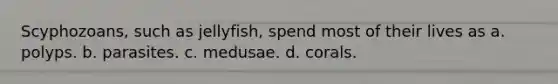 Scyphozoans, such as jellyfish, spend most of their lives as a. polyps. b. parasites. c. medusae. d. corals.