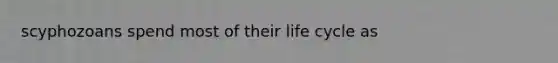 scyphozoans spend most of their life cycle as