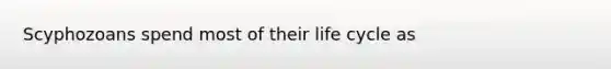 Scyphozoans spend most of their life cycle as