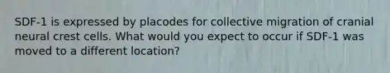 SDF-1 is expressed by placodes for collective migration of cranial neural crest cells. What would you expect to occur if SDF-1 was moved to a different location?