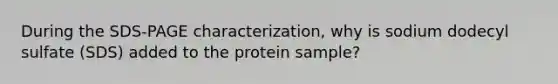 During the SDS-PAGE characterization, why is sodium dodecyl sulfate (SDS) added to the protein sample?