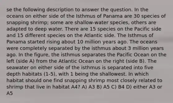 se the following description to answer the question. In the oceans on either side of the Isthmus of Panama are 30 species of snapping shrimp; some are shallow-water species, others are adapted to deep water. There are 15 species on the Pacific side and 15 different species on the Atlantic side. The Isthmus of Panama started rising about 10 million years ago. The oceans were completely separated by the isthmus about 3 million years ago. In the figure, the isthmus separates the Pacific Ocean on the left (side A) from the Atlantic Ocean on the right (side B). The seawater on either side of the isthmus is separated into five depth habitats (1-5), with 1 being the shallowest. In which habitat should one find snapping shrimp most closely related to shrimp that live in habitat A4? A) A3 B) A5 C) B4 D) either A3 or A5