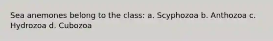 Sea anemones belong to the class: a. Scyphozoa b. Anthozoa c. Hydrozoa d. Cubozoa