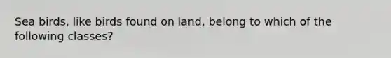 Sea birds, like birds found on land, belong to which of the following classes?