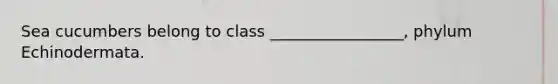 Sea cucumbers belong to class _________________, phylum Echinodermata.