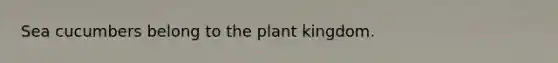 Sea cucumbers belong to the plant kingdom.