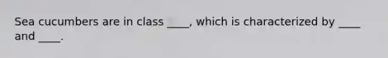 Sea cucumbers are in class ____, which is characterized by ____ and ____.