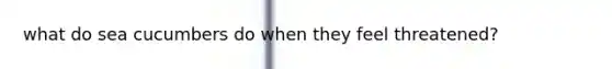 what do sea cucumbers do when they feel threatened?