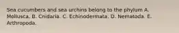 Sea cucumbers and sea urchins belong to the phylum A. Mollusca. B. Cnidaria. C. Echinodermata. D. Nematoda. E. Arthropoda.