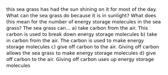 this sea grass has had the sun shining on it for most of the day. What can the sea grass do because it is in sunlight? What does this mean for the number of energy storage molecules in the sea grass? The sea grass can... a) take carbon from the air. This carbon is used to break down energy storage molecules b) take in carbon from the air. The carbon is used to make energy storage molecules c) give off carbon to the air. Giving off carbon allows the sea grass to make energy storage molecules d) give off carbon to the air. Giving off carbon uses up energy storage molecules