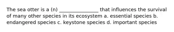 The sea otter is a (n) ________________ that influences the survival of many other species in its ecosystem a. essential species b. endangered species c. keystone species d. important species