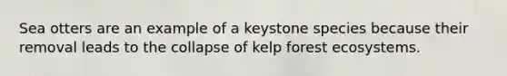 Sea otters are an example of a keystone species because their removal leads to the collapse of kelp forest ecosystems.