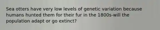 Sea otters have very low levels of genetic variation because humans hunted them for their fur in the 1800s-will the population adapt or go extinct?