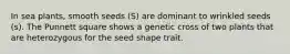 In sea plants, smooth seeds (S) are dominant to wrinkled seeds (s). The Punnett square shows a genetic cross of two plants that are heterozygous for the seed shape trait.