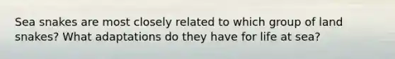 Sea snakes are most closely related to which group of land snakes? What adaptations do they have for life at sea?