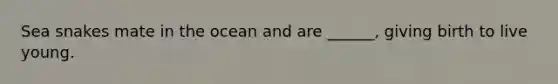 Sea snakes mate in the ocean and are ______, giving birth to live young.