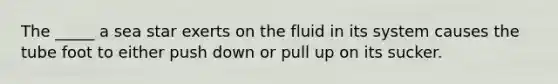 The _____ a sea star exerts on the fluid in its system causes the tube foot to either push down or pull up on its sucker.