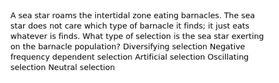 A sea star roams the intertidal zone eating barnacles. The sea star does not care which type of barnacle it finds; it just eats whatever is finds. What type of selection is the sea star exerting on the barnacle population? Diversifying selection Negative frequency dependent selection Artificial selection Oscillating selection Neutral selection