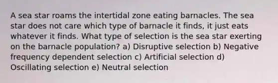 A sea star roams the intertidal zone eating barnacles. The sea star does not care which type of barnacle it finds, it just eats whatever it finds. What type of selection is the sea star exerting on the barnacle population? a) Disruptive selection b) Negative frequency dependent selection c) Artificial selection d) Oscillating selection e) Neutral selection