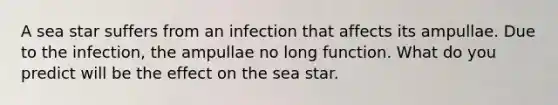 A sea star suffers from an infection that affects its ampullae. Due to the infection, the ampullae no long function. What do you predict will be the effect on the sea star.