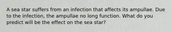 A sea star suffers from an infection that affects its ampullae. Due to the infection, the ampullae no long function. What do you predict will be the effect on the sea star?