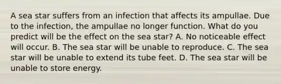 A sea star suffers from an infection that affects its ampullae. Due to the infection, the ampullae no longer function. What do you predict will be the effect on the sea star? A. No noticeable effect will occur. B. The sea star will be unable to reproduce. C. The sea star will be unable to extend its tube feet. D. The sea star will be unable to store energy.