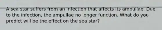 A sea star suffers from an infection that affects its ampullae. Due to the infection, the ampullae no longer function. What do you predict will be the effect on the sea star?