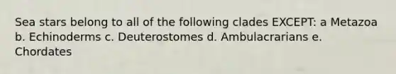 Sea stars belong to all of the following clades EXCEPT: a Metazoa b. Echinoderms c. Deuterostomes d. Ambulacrarians e. Chordates