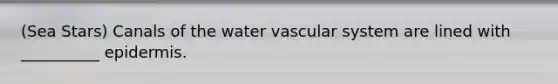 (Sea Stars) Canals of the water vascular system are lined with __________ epidermis.