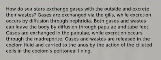 How do sea stars exchange gases with the outside and excrete their wastes? Gases are exchanged via the gills, while excretion occurs by diffusion through nephridia. Both gases and wastes can leave the body by diffusion through papulae and tube feet. Gases are exchanged in the papulae, while excretion occurs through the madreporite. Gases and wastes are released in the coelom fluid and carried to the anus by the action of the ciliated cells in the coelom's peritoneal lining.