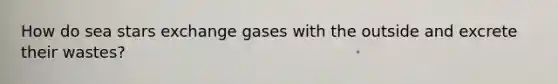 How do sea stars exchange gases with the outside and excrete their wastes?