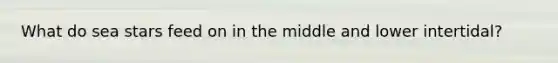 What do sea stars feed on in the middle and lower intertidal?