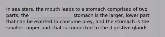 In sea stars, <a href='https://www.questionai.com/knowledge/krBoWYDU6j-the-mouth' class='anchor-knowledge'>the mouth</a> leads to a stomach comprised of two parts; the __________________ stomach is the larger, lower part that can be everted to consume prey, and <a href='https://www.questionai.com/knowledge/kLccSGjkt8-the-stomach' class='anchor-knowledge'>the stomach</a> is the smaller, upper part that is connected to the digestive glands.