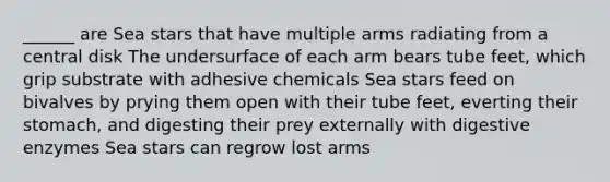 ______ are Sea stars that have multiple arms radiating from a central disk The undersurface of each arm bears tube feet, which grip substrate with adhesive chemicals Sea stars feed on bivalves by prying them open with their tube feet, everting their stomach, and digesting their prey externally with digestive enzymes Sea stars can regrow lost arms