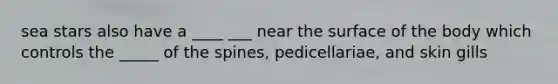 sea stars also have a ____ ___ near the surface of the body which controls the _____ of the spines, pedicellariae, and skin gills