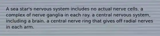 A sea star's nervous system includes no actual nerve cells. a complex of nerve ganglia in each ray. a central nervous system, including a brain. a central nerve ring that gives off radial nerves in each arm.