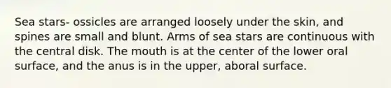 Sea stars- ossicles are arranged loosely under the skin, and spines are small and blunt. Arms of sea stars are continuous with the central disk. <a href='https://www.questionai.com/knowledge/krBoWYDU6j-the-mouth' class='anchor-knowledge'>the mouth</a> is at the center of the lower oral surface, and the anus is in the upper, aboral surface.