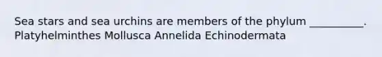 Sea stars and sea urchins are members of the phylum __________. Platyhelminthes Mollusca Annelida Echinodermata