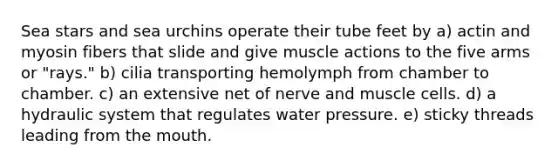 Sea stars and sea urchins operate their tube feet by a) actin and myosin fibers that slide and give muscle actions to the five arms or "rays." b) cilia transporting hemolymph from chamber to chamber. c) an extensive net of nerve and muscle cells. d) a hydraulic system that regulates water pressure. e) sticky threads leading from <a href='https://www.questionai.com/knowledge/krBoWYDU6j-the-mouth' class='anchor-knowledge'>the mouth</a>.