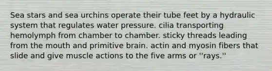 Sea stars and sea urchins operate their tube feet by a hydraulic system that regulates water pressure. cilia transporting hemolymph from chamber to chamber. sticky threads leading from <a href='https://www.questionai.com/knowledge/krBoWYDU6j-the-mouth' class='anchor-knowledge'>the mouth</a> and primitive brain. actin and myosin fibers that slide and give muscle actions to the five arms or ''rays.''