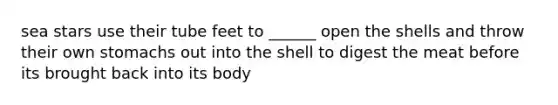 sea stars use their tube feet to ______ open the shells and throw their own stomachs out into the shell to digest the meat before its brought back into its body
