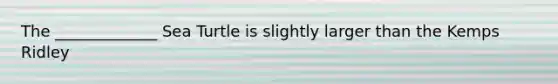 The _____________ Sea Turtle is slightly larger than the Kemps Ridley