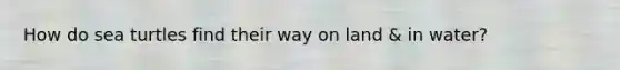 How do sea turtles find their way on land & in water?