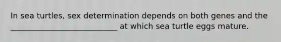 In sea turtles, sex determination depends on both genes and the ___________________________ at which sea turtle eggs mature.