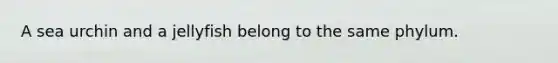 A sea urchin and a jellyfish belong to the same phylum.