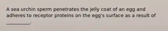 A sea urchin sperm penetrates the jelly coat of an egg and adheres to receptor proteins on the egg's surface as a result of __________.